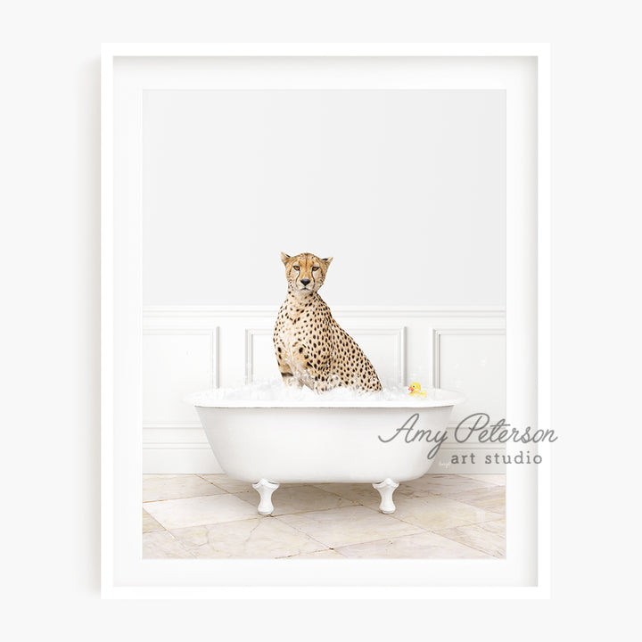 a picture of a cheetah sitting in a bathtub