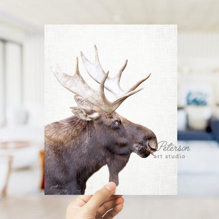 a hand holding up a picture of a moose