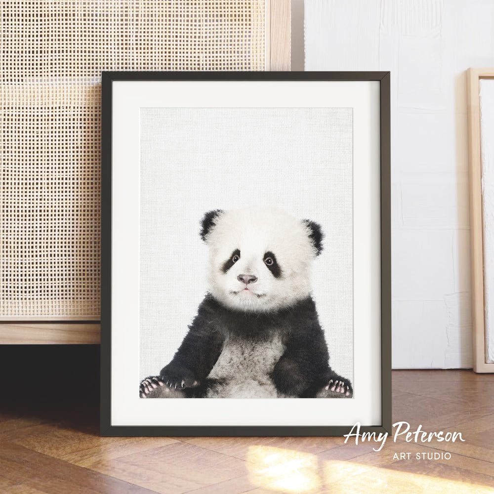 A framed photograph of a panda bear sitting on a wooden floor.