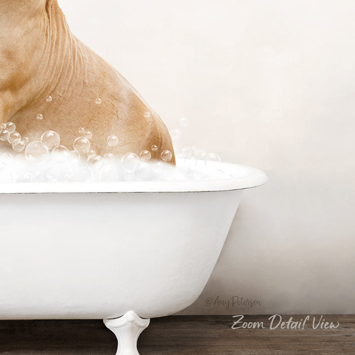 A dog is sitting in a white bathtub filled with bubbles, enjoying a relaxing bath.