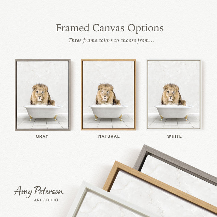 The image is a framed canvas option showcasing three different frame colors: gray, natural, and white. The canvas features a lion sitting in a bathtub, and the frame color options are displayed below the canvas.