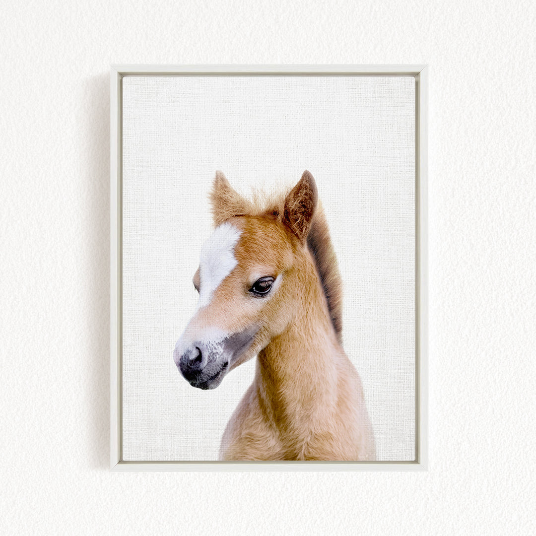 A young horse with a white blaze on its face is the main subject of the image, which is a framed print.