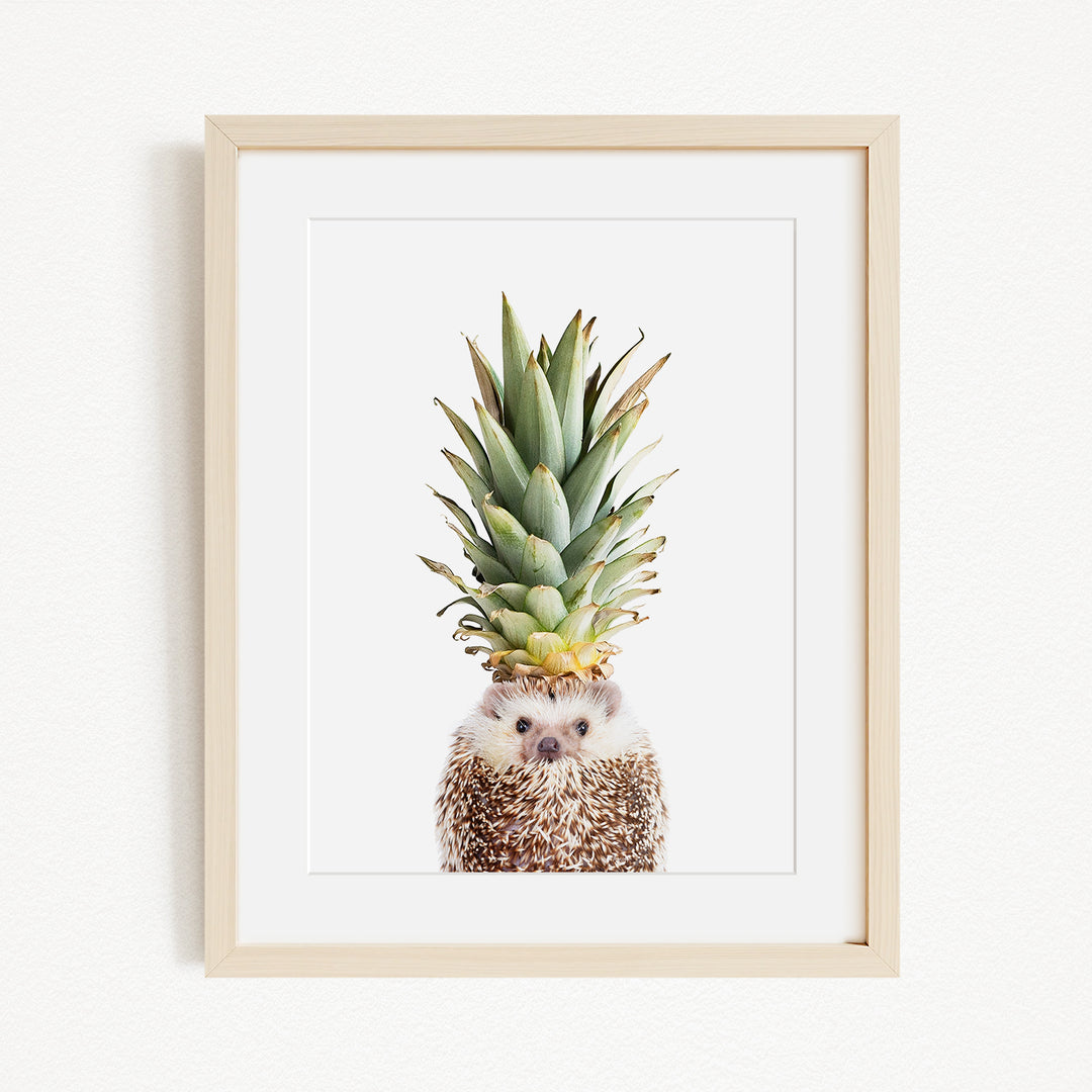 A framed image of a hedgehog with a pineapple on its head.