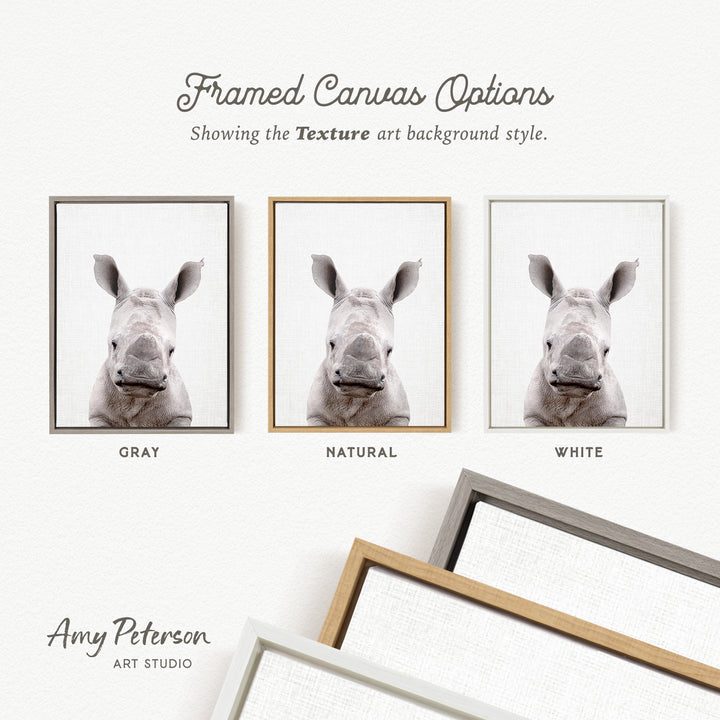 three framed canvas options, each with a different background color: gray, natural, and white. The text above the images reads " Framed Canvas Options" and "Showing the Texture art background style." The text below the images reads "Grays," "NATURAL," and "WHITE." The artist's name, Amy Peterson, is also mentioned at the bottom of the image.