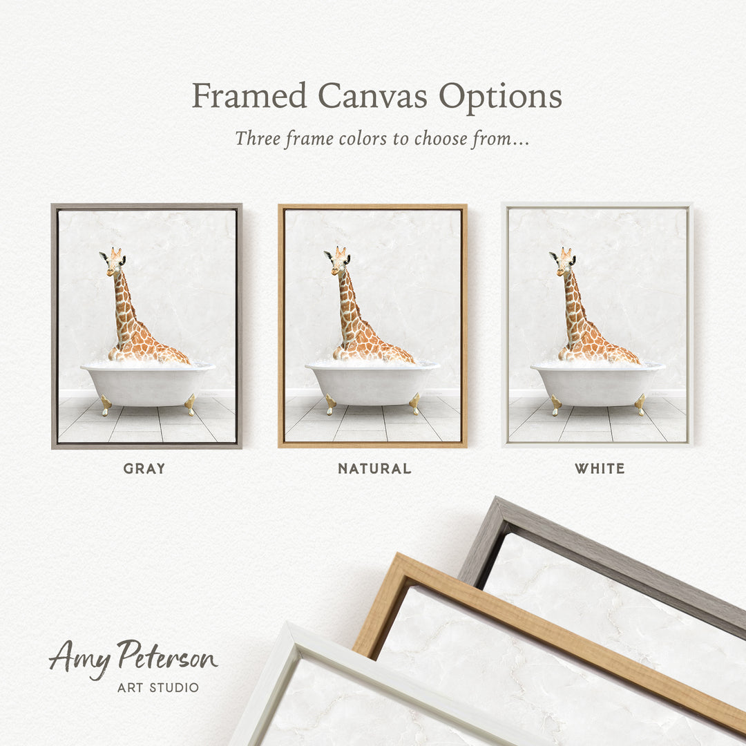 three framed canvas options featuring a giraffe sitting in a bathtub, each with a different frame color: gray, natural, and white.
