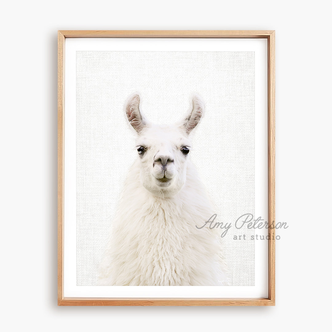 a picture of a llama in a wooden frame