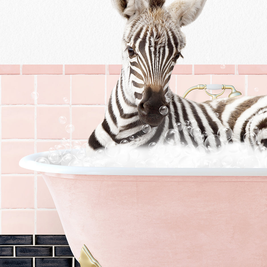 a baby zebra laying in a bathtub filled with bubbles