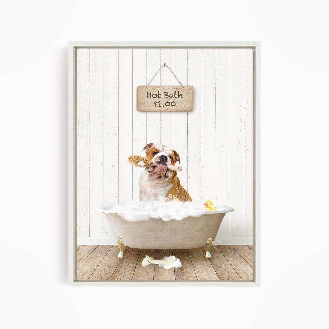 A brown and white bulldog sitting in a white bathtub, holding a yellow rubber duck, with a sign above indicating a hot bath for $1.00.