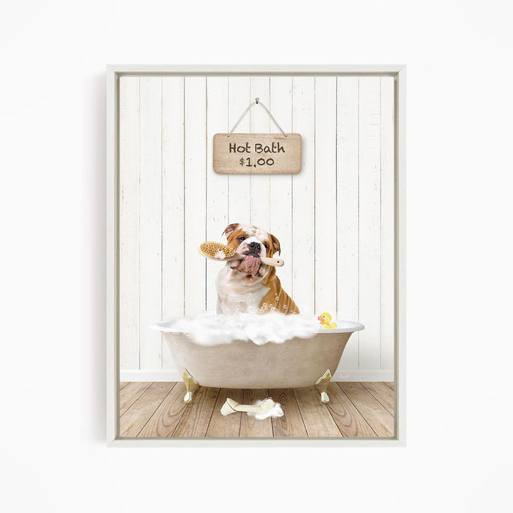 A brown and white bulldog sitting in a white bathtub, holding a yellow rubber duck, with a sign above indicating a hot bath for $1.00.