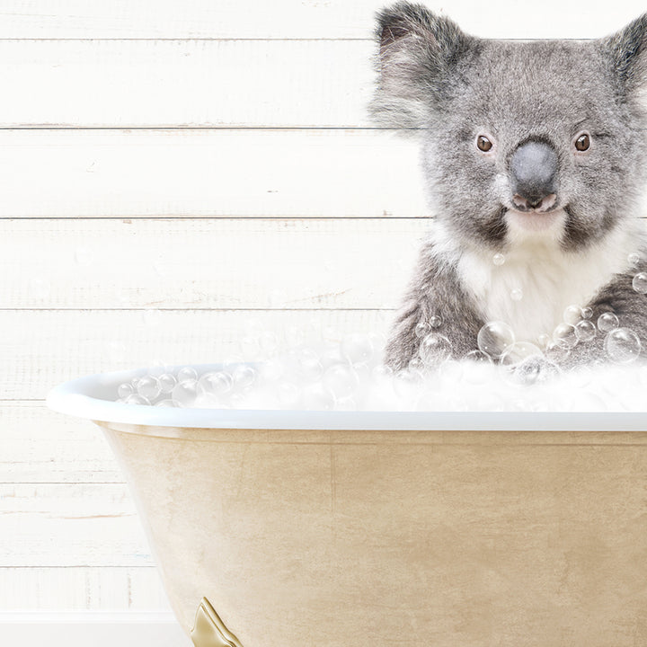 a koala is sitting in a bathtub with bubbles