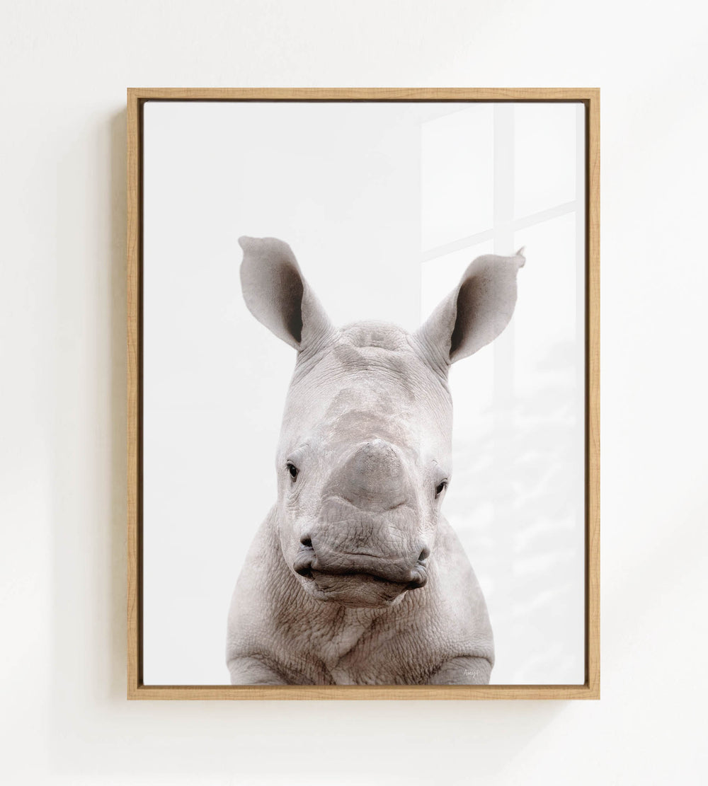 A close-up portrait of a rhinoceros, with its distinctive horn-like ossicones prominently displayed against a plain white background.