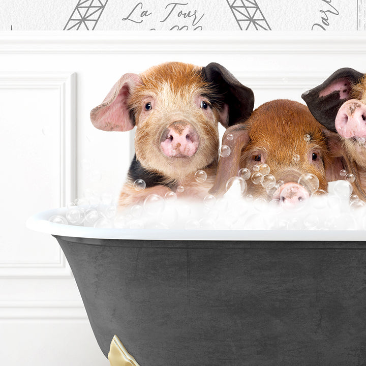 a group of three pigs sitting in a bathtub