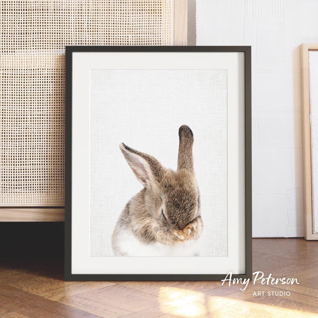 A framed photograph of a rabbit with its head resting on its paws, set against a white background.