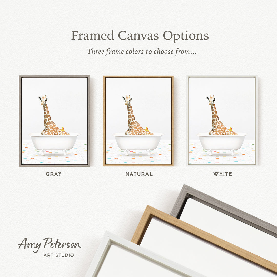 three framed canvas options, each featuring a giraffe in a bathtub. The options include a gray frame, a natural frame, and a white frame. The text above the options reads " Framed Canvas Options" and "Three frame colors to choose from...". The bottom of the image includes the text " Amy Peterson ART STUDIO".