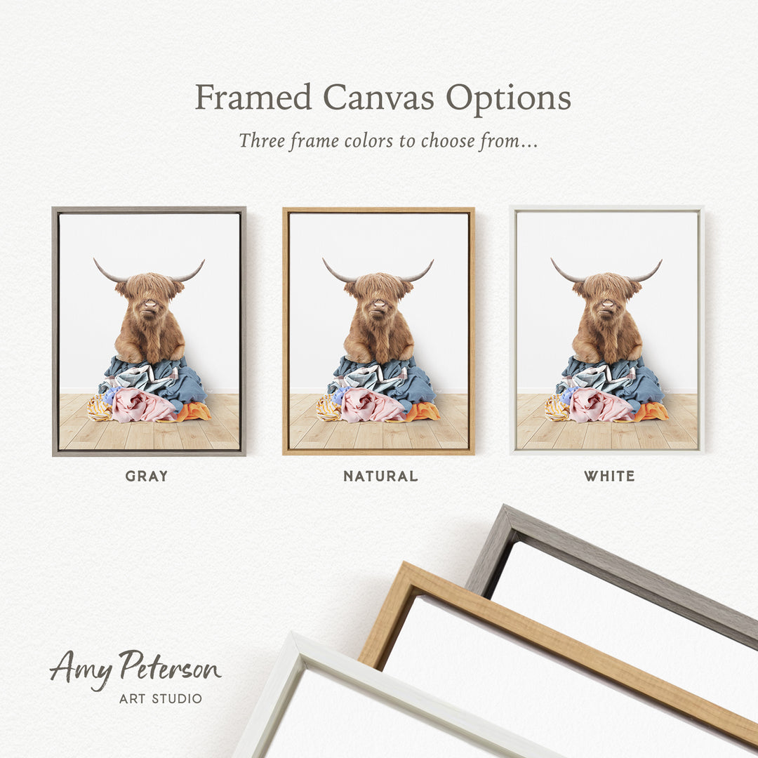 three framed canvas options, each with a different color: gray, natural, and white. The text above the images reads " framed Canvas Options" and "Three frame colors to choose from...". The text below the images reads "Grays", "NATURAL", and "WHITE". The artist's name, Amy Peterson, is also mentioned at the bottom of the image.