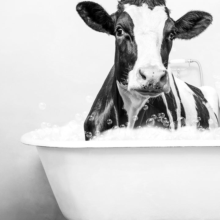 a black and white photo of a cow in a bathtub