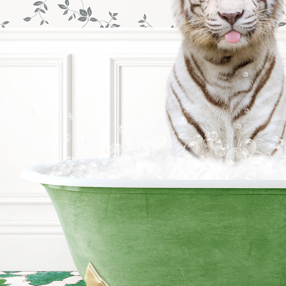 a white tiger sitting in a green bath tub