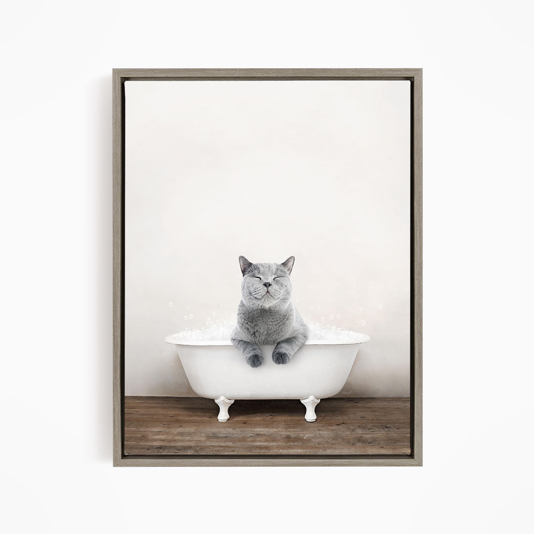 A gray cat sitting in a white bathtub filled with bubbles, with its eyes closed and appearing to be enjoying the bath.
