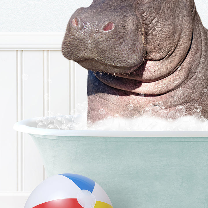 a hippo in a bathtub with a beach ball