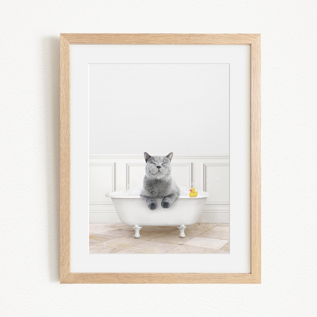A gray cat sitting in a white bathtub, with a yellow rubber duck floating in the water.