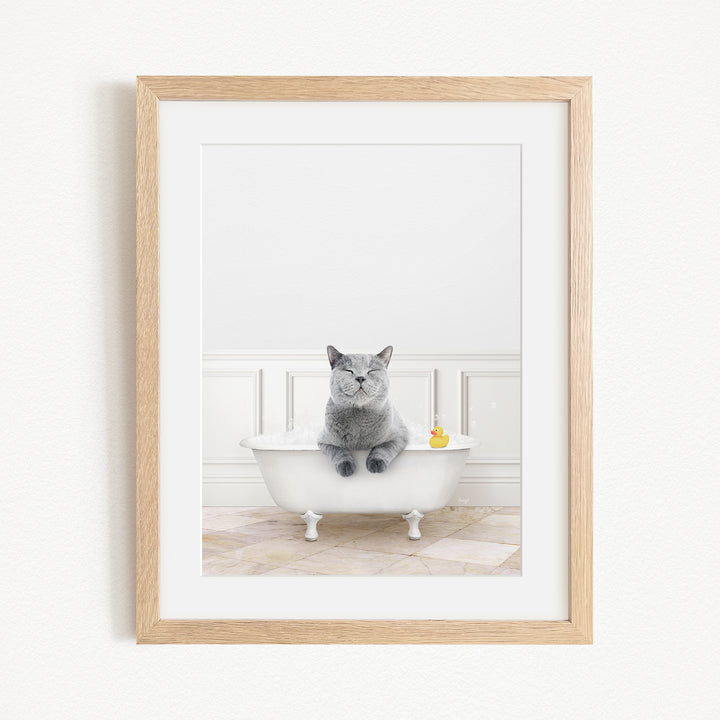 A gray cat sitting in a white bathtub, with a yellow rubber duck floating in the water.