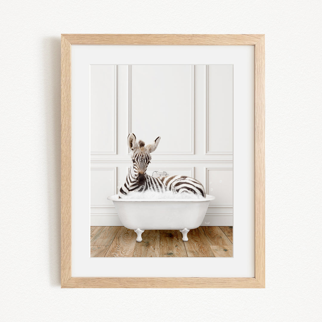 A zebra is sitting in a white bathtub, surrounded by a wooden floor and white walls.