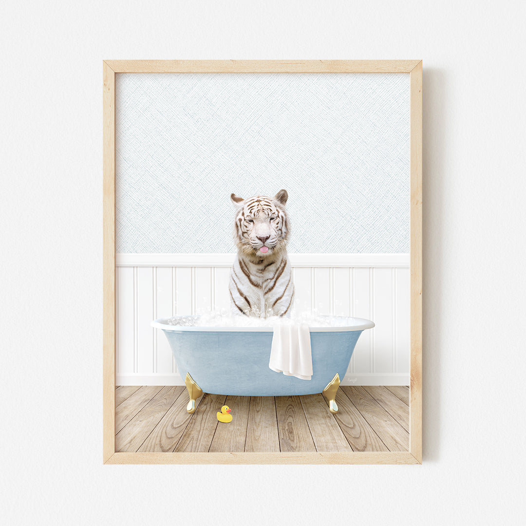 a white tiger sitting in a blue bath tub