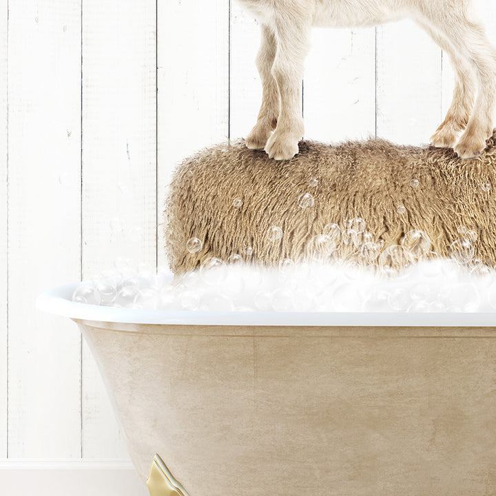 a dog standing on top of a bath tub