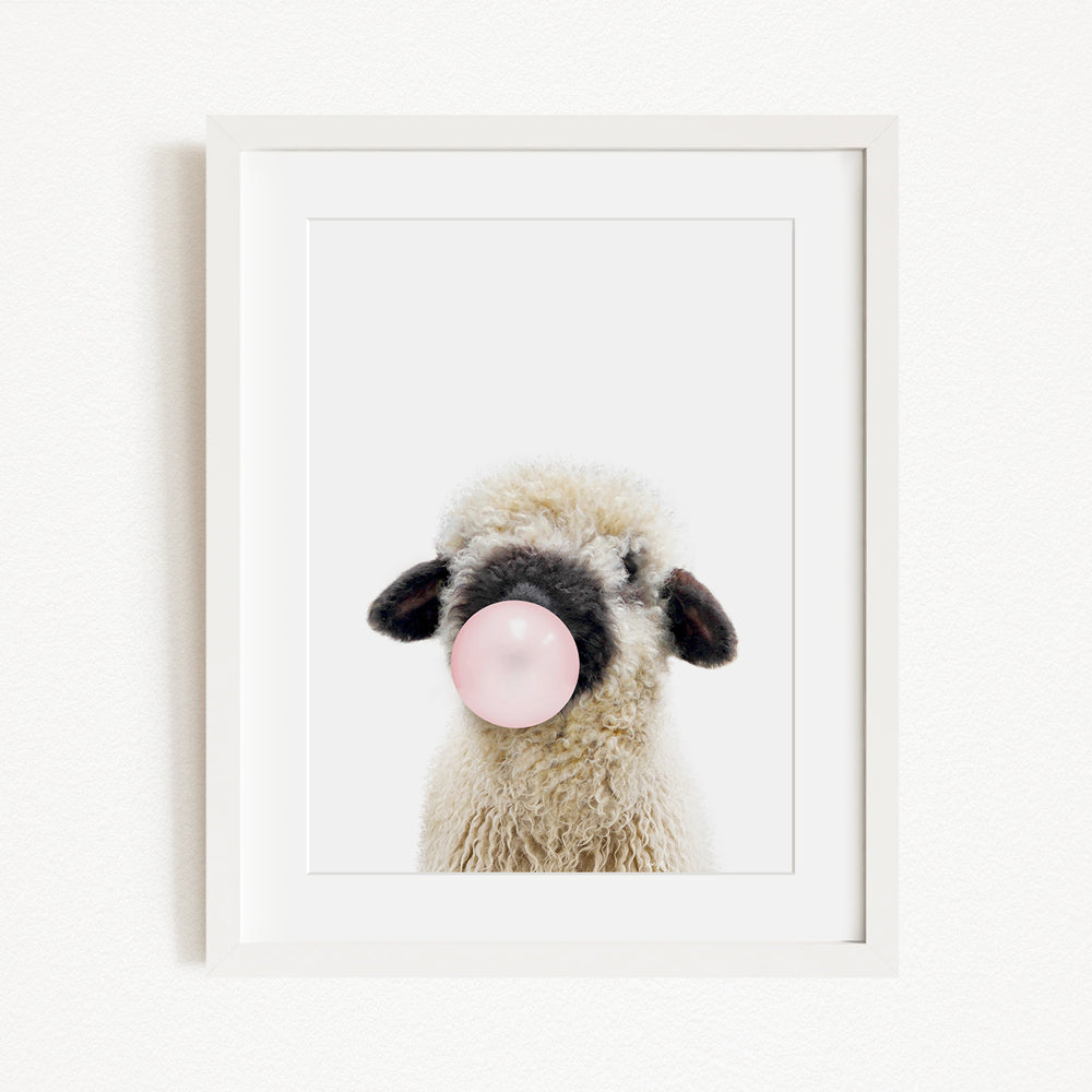 A fluffy white sheep with black ears is blowing a bubble with a pink bubble gum bubble.