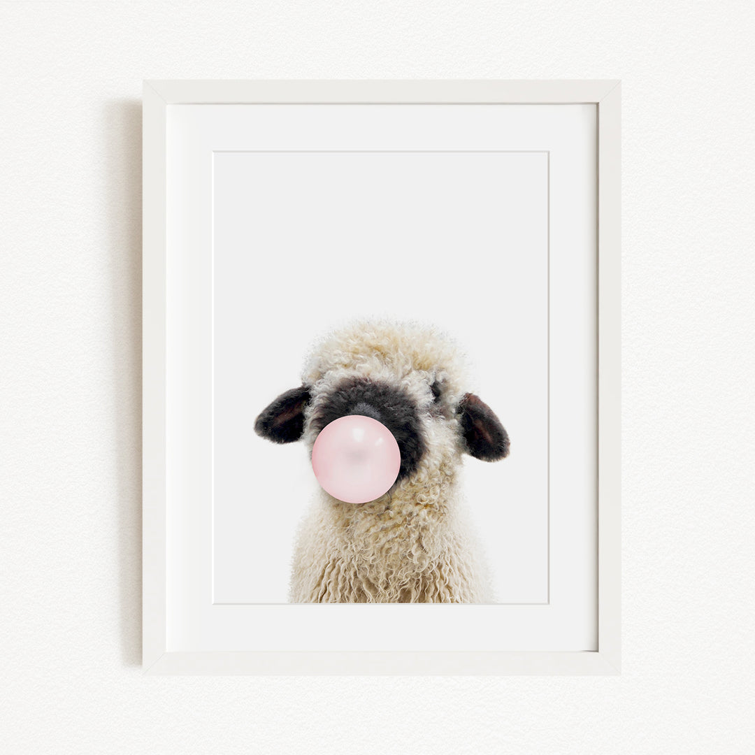 A fluffy white sheep with black ears is blowing a bubble with a pink bubble gum bubble.
