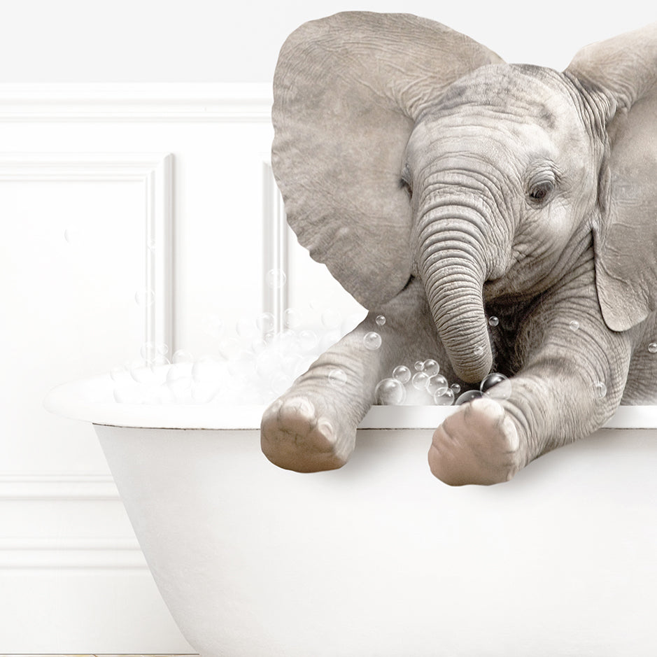 a baby elephant in a bathtub with foam