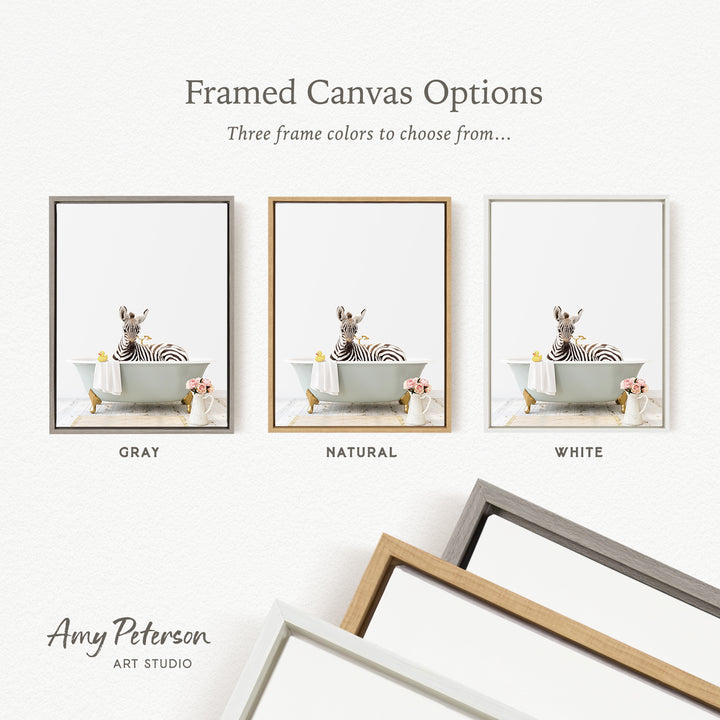 three framed canvas options, each featuring a zebra sitting in a bathtub with flowers. The options include a gray frame, a natural frame, and a white frame.
