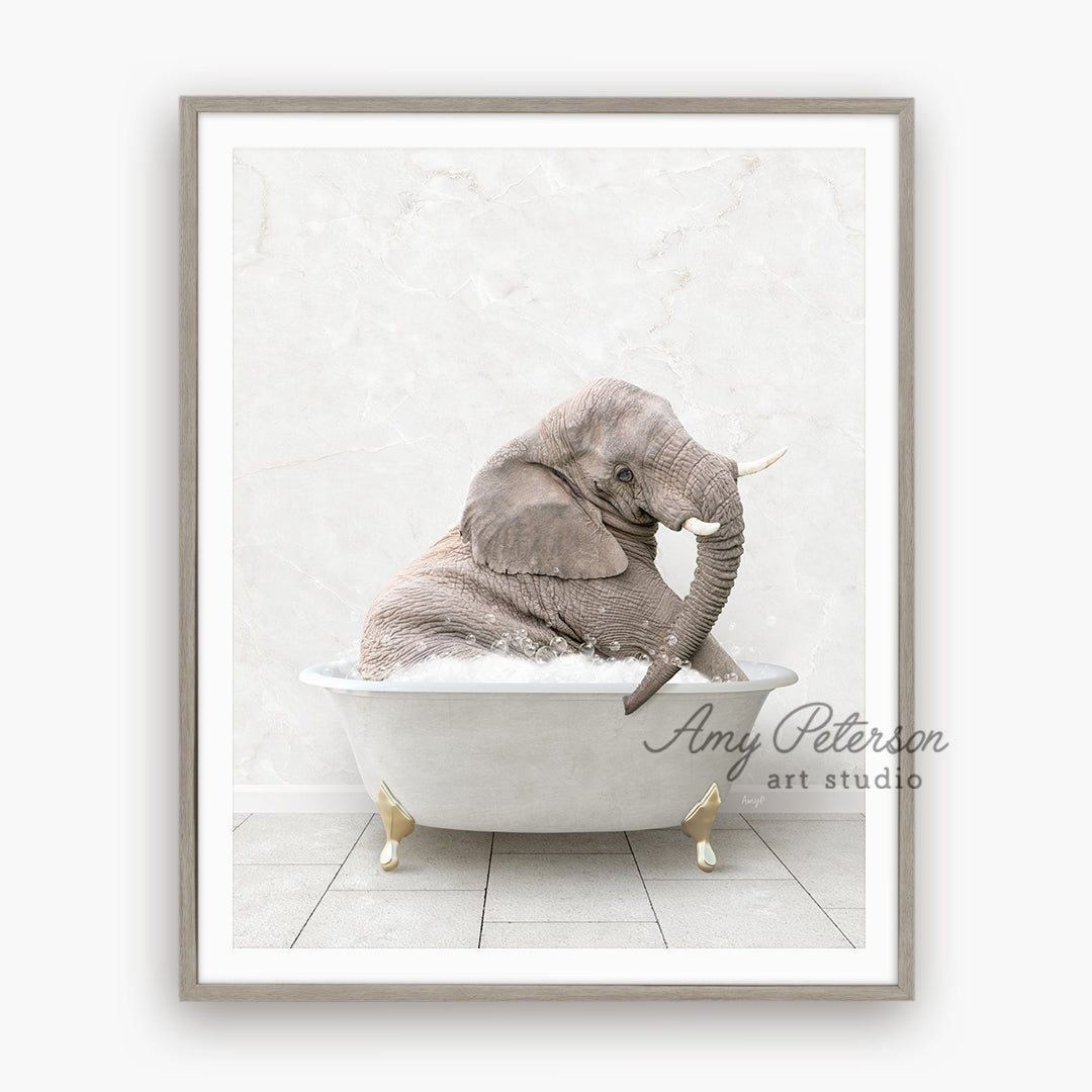 a picture of an elephant in a bathtub