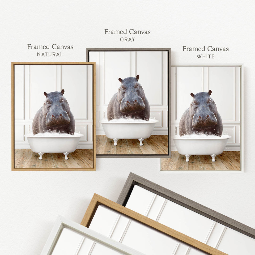 three framed pictures of a hippopotamus sitting in a bathtub, each with a different colored frame.