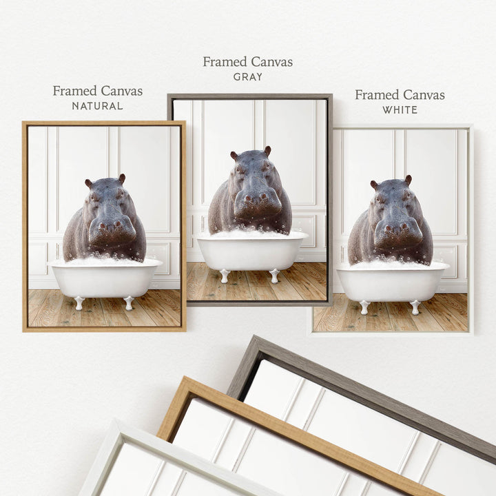three framed pictures of a hippopotamus sitting in a bathtub, each with a different colored frame.