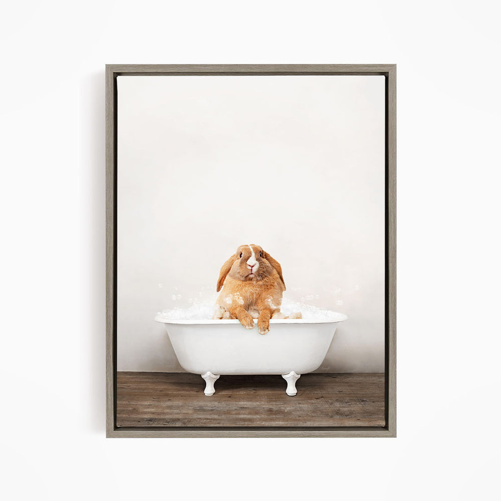 A brown rabbit sitting in a white bathtub filled with bubbles, looking up at the camera.