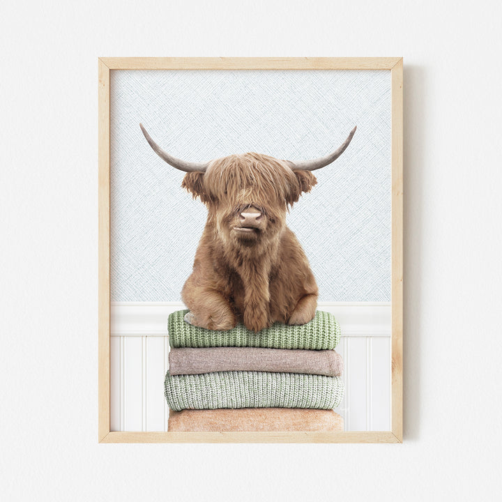 a picture of a highland cow sitting on a stack of folded clothes