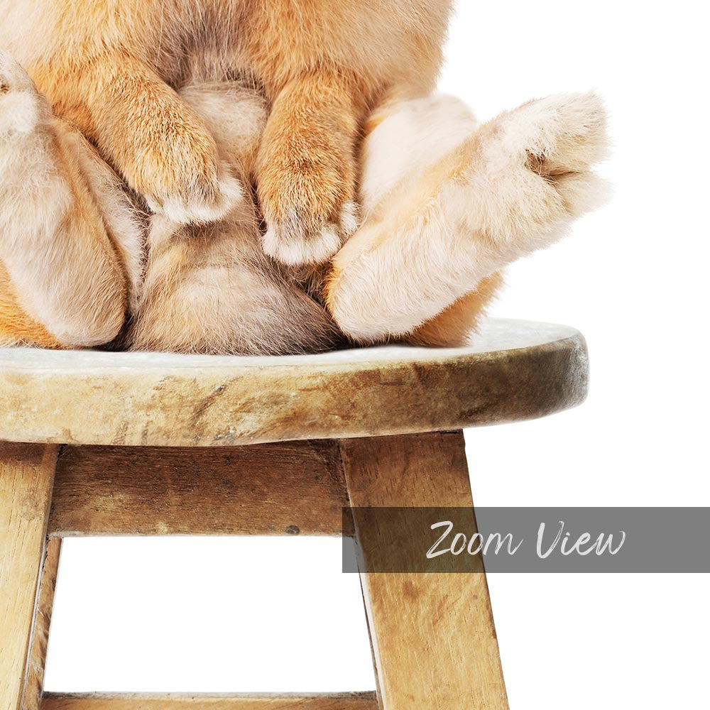 a teddy bear sitting on top of a wooden stool