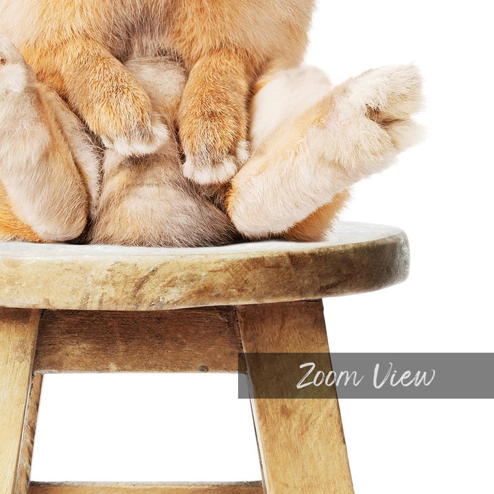 a teddy bear sitting on top of a wooden stool