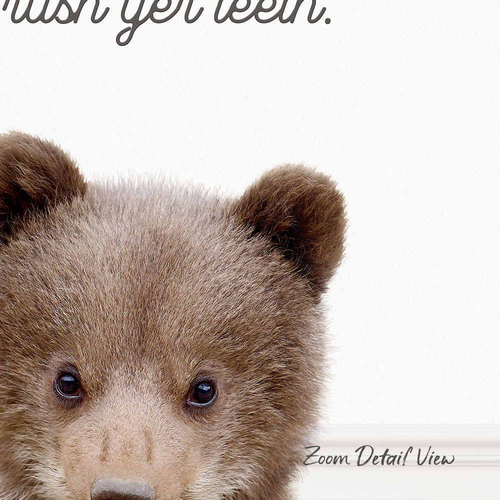 A close-up of a brown bear's face, with its eyes and nose visible, against a plain white background.
