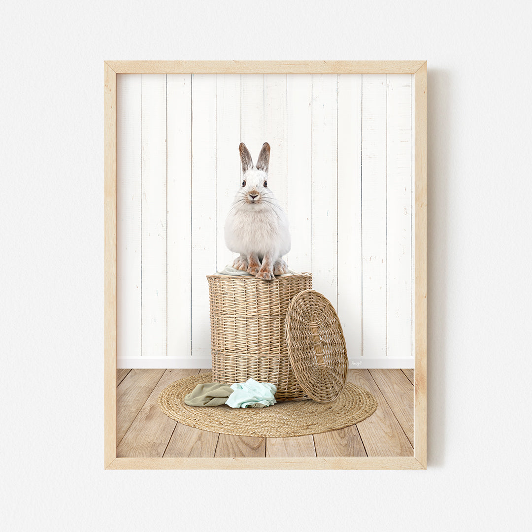 a picture of a rabbit sitting in a basket