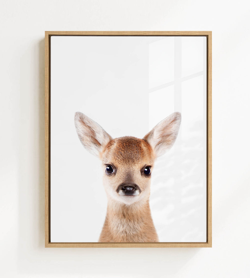 A framed photograph of a deer with large ears and a small nose, looking directly at the camera.