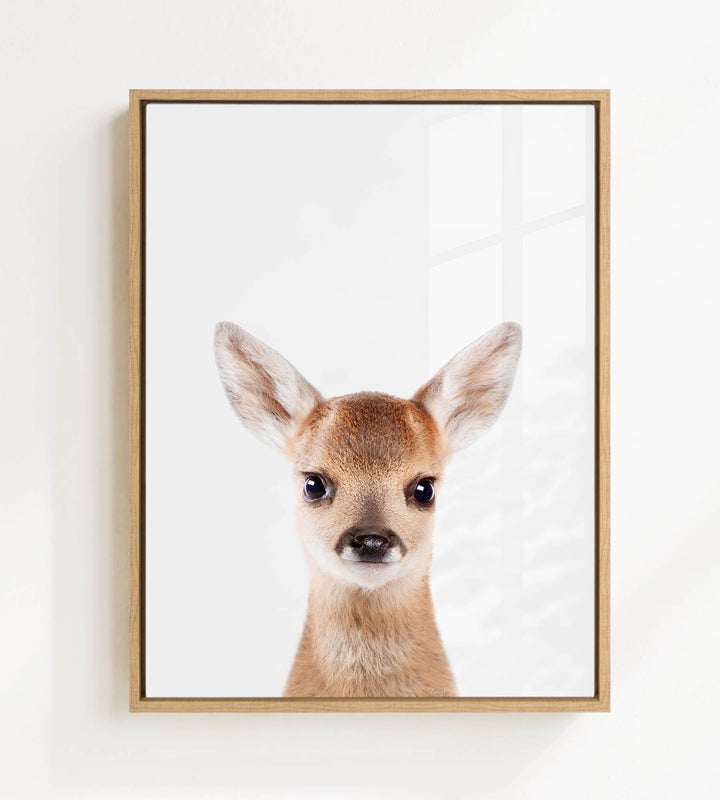 A framed photograph of a deer with large ears and a small nose, looking directly at the camera.