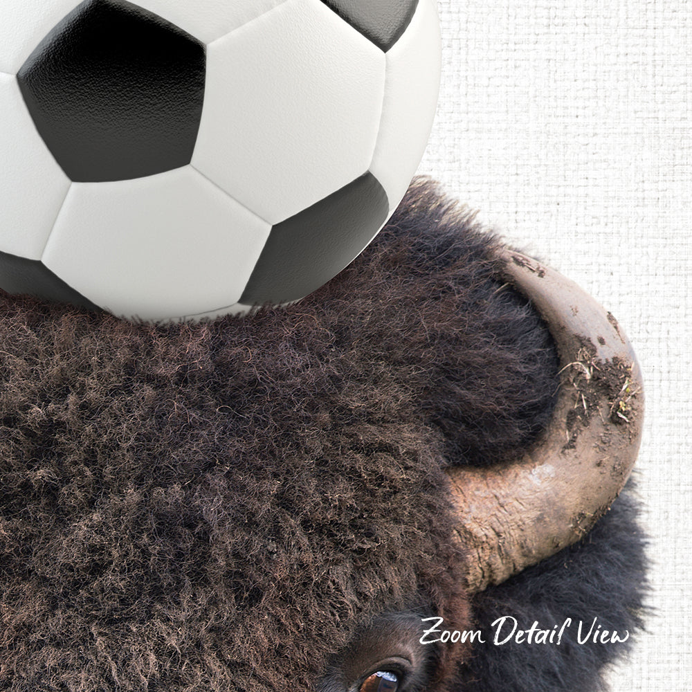 A close-up of a bison's head with a soccer ball resting on top of it.