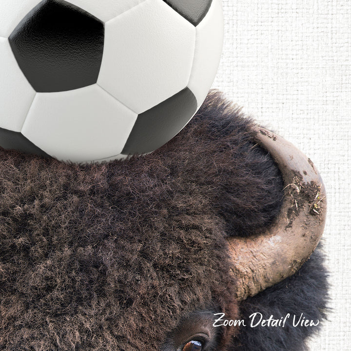 A close-up of a bison's head with a soccer ball resting on top of it.