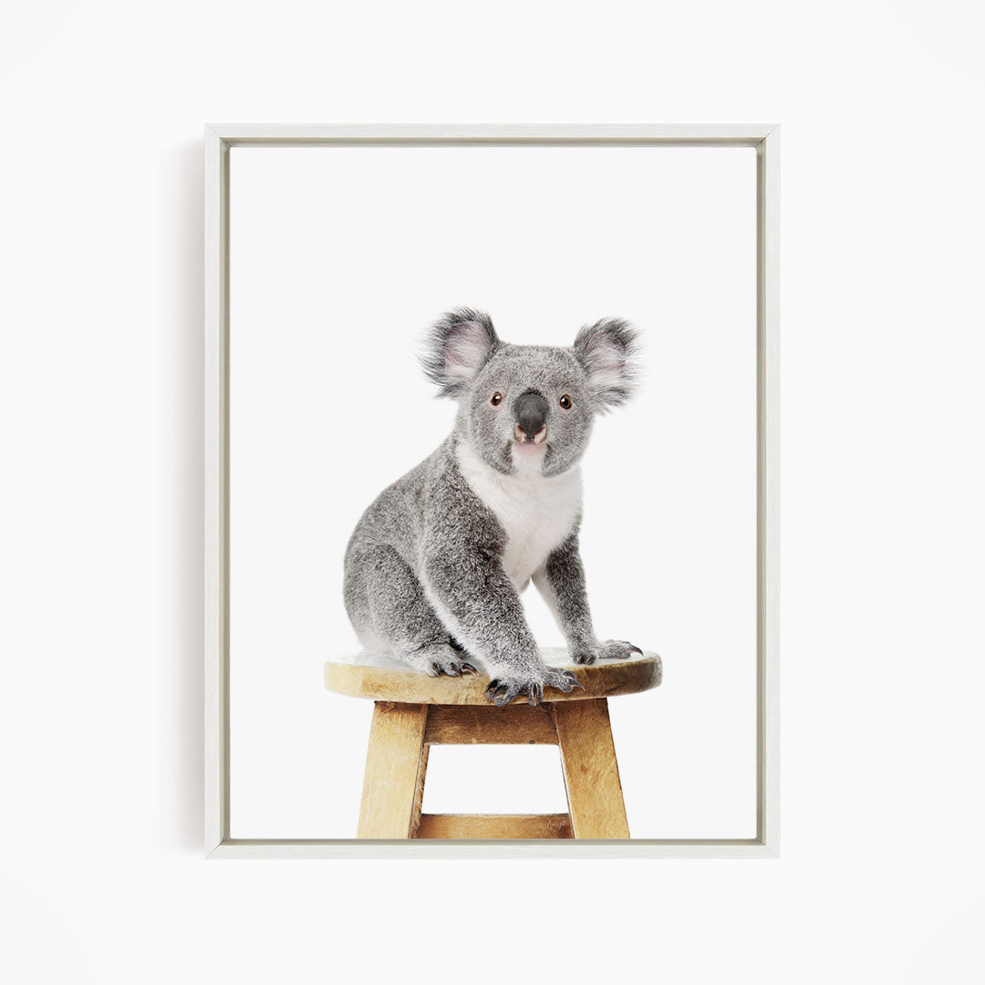 A koala sitting on a wooden stool against a white background.