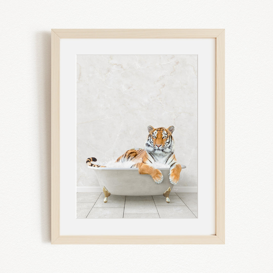 A tiger is sitting in a white bathtub, appearing relaxed and comfortable.
