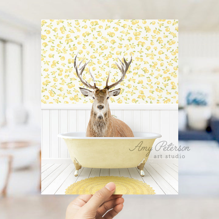 a hand holding up a photo of a deer in a bathtub