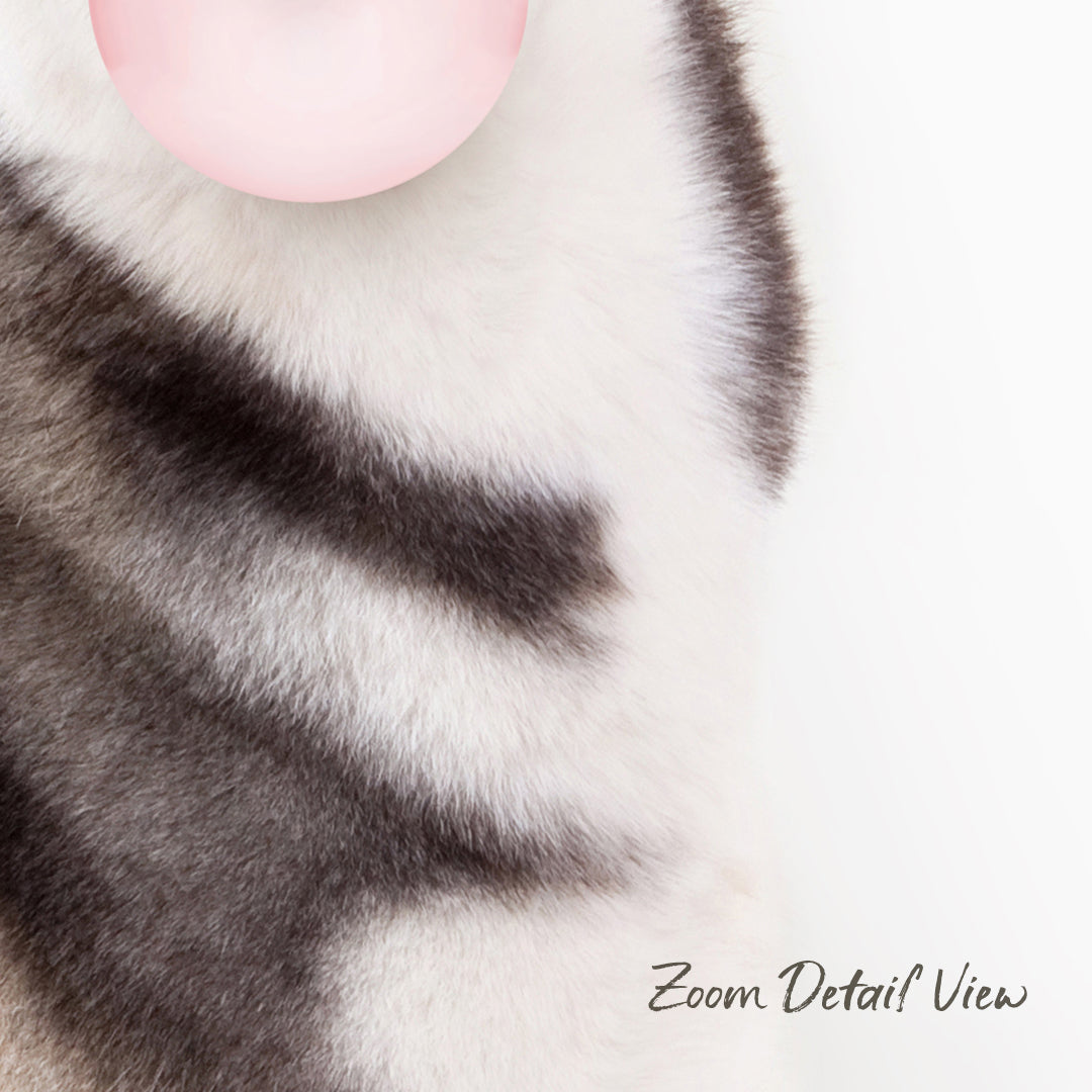 A close-up of a cat's fur, with a pink bubble in the background.