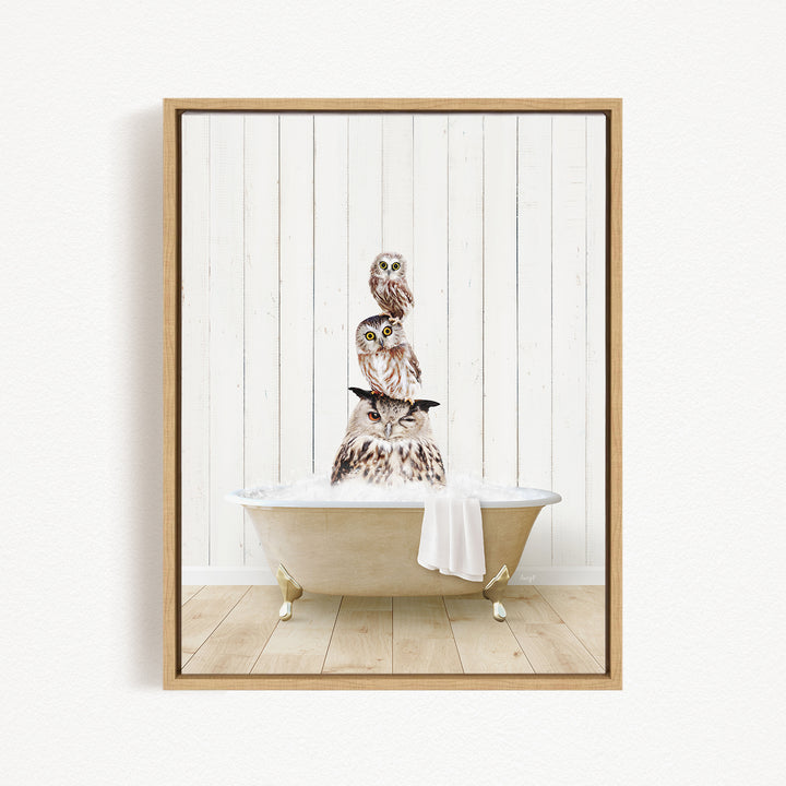 A framed image depicting three owls sitting in a bathtub, with one owl perched on top of the other two.